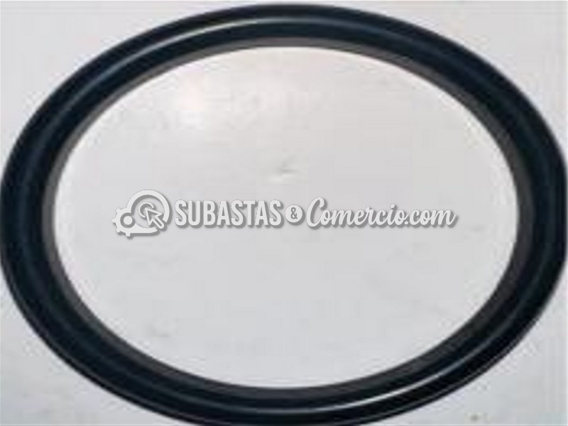 Captura de pantalla 2026-01-13 101507.jpg